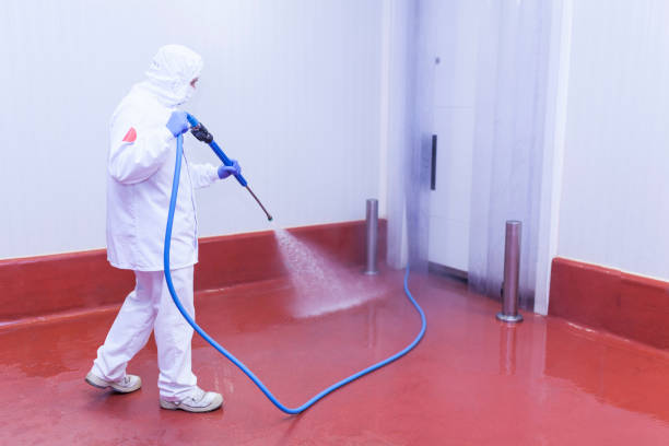 Best Paint Preparation  in Tremonton, UT
